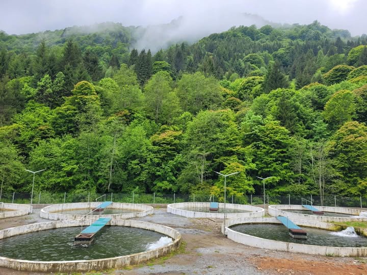 Două apeluri de proiecte în valoare de 53 de milioane de euro pentru dezvoltarea acvaculturii și procesarea produselor pescărești. Anunțul Ministerului Agriculturii